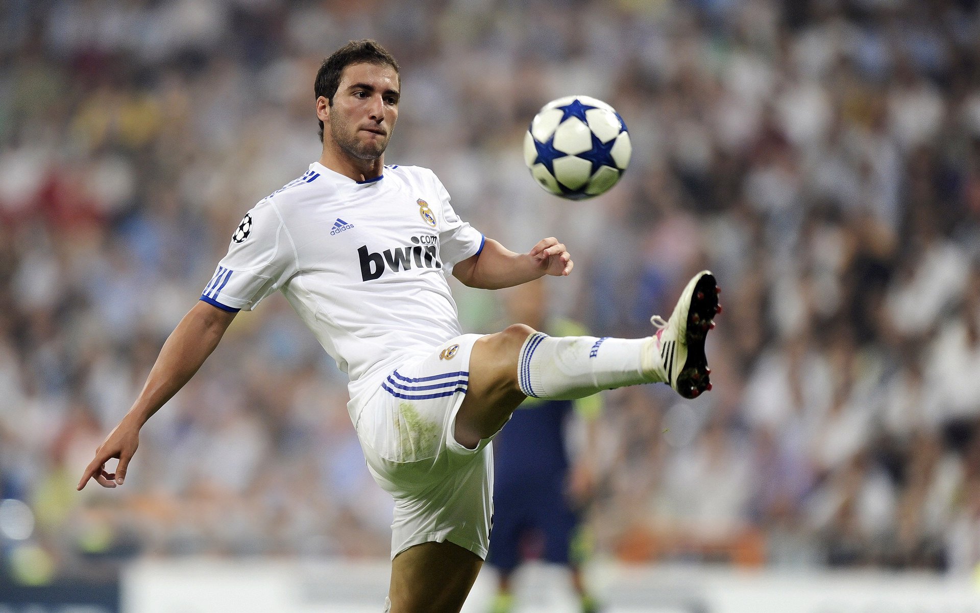 蔚山现代队长带伤出战鼓舞全队，蔚山现代是什么联赛